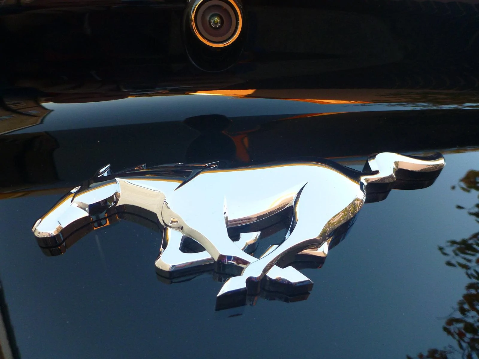 CA57ANG - Decklid (21).webp