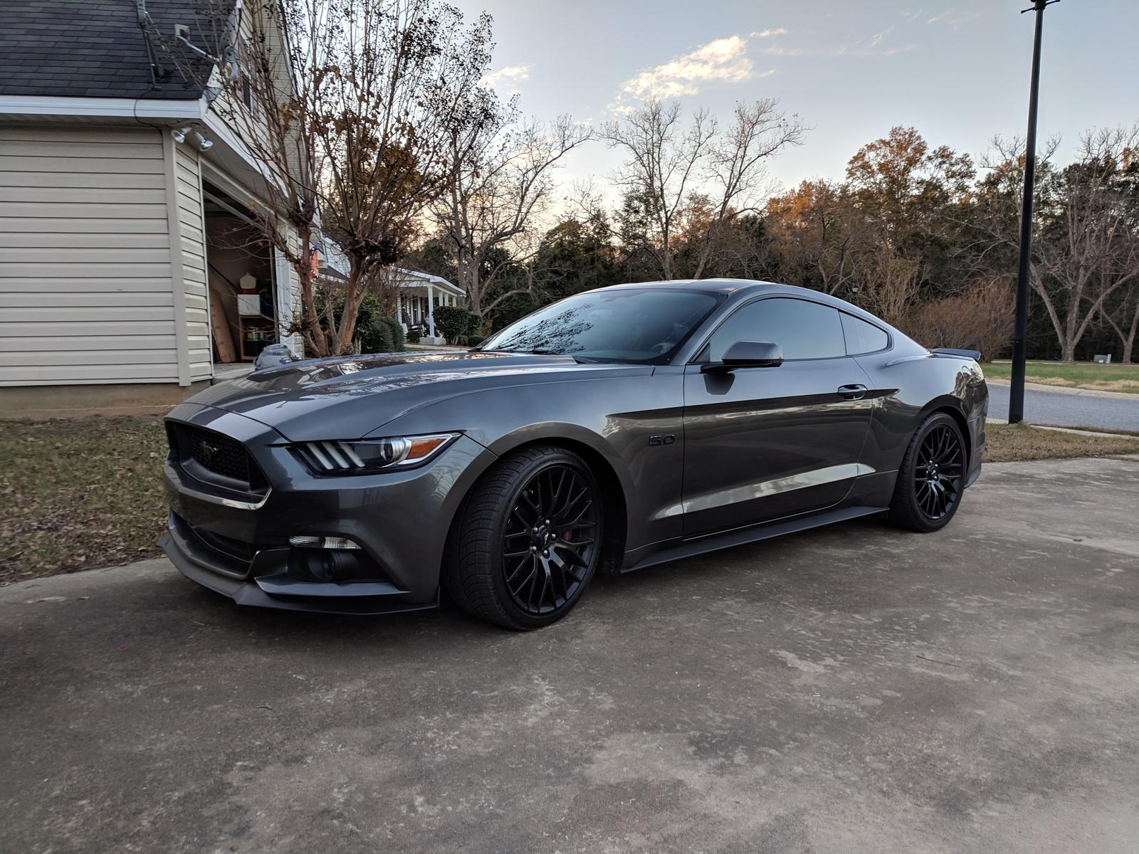 mustang.jpg