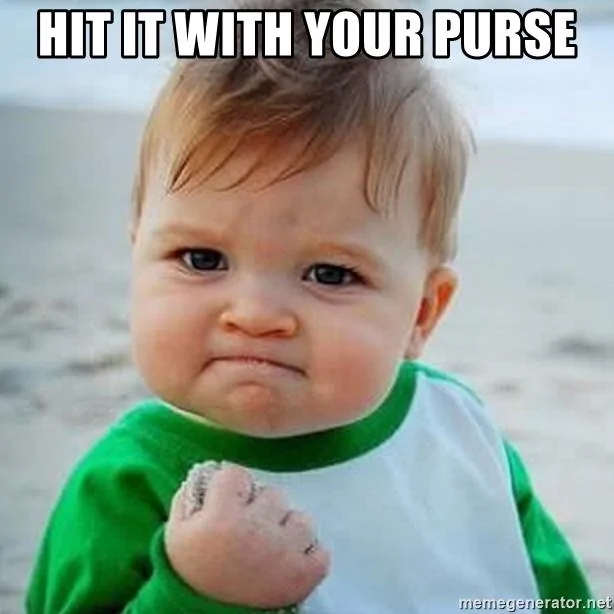 hit-it-with-your-purse.webp