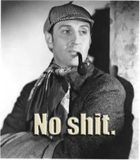 no-shit-sherlock.webp