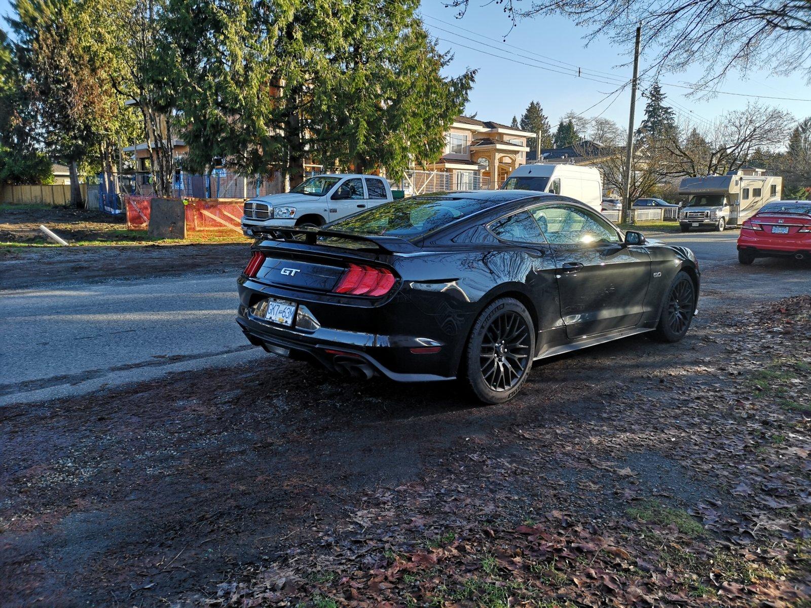 IMG_20181202_140519.jpg