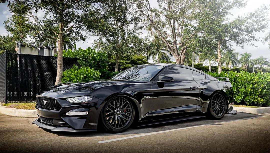 slammedstangs-1.jpg
