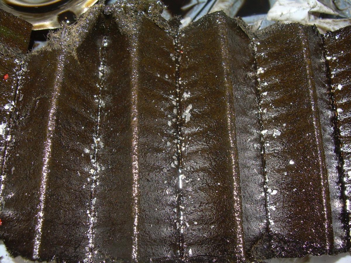 41274d1335152396-metal-flakes-oil-filter-dscn0293.jpg