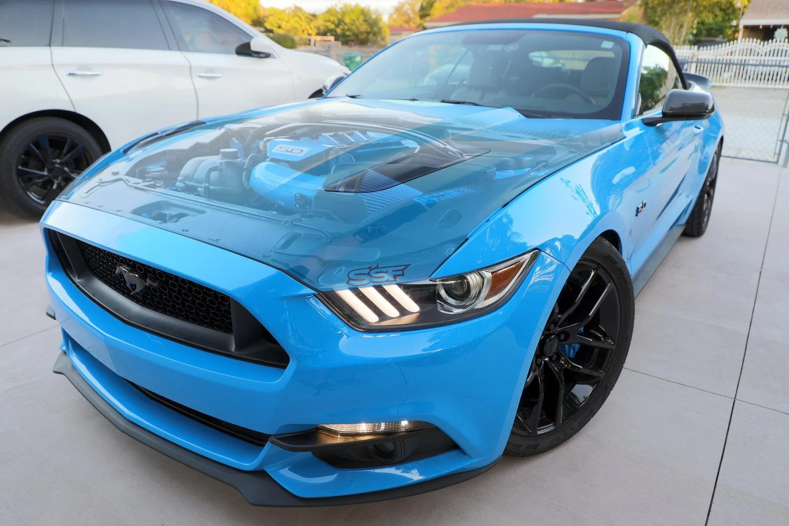 sexy_blue.webp