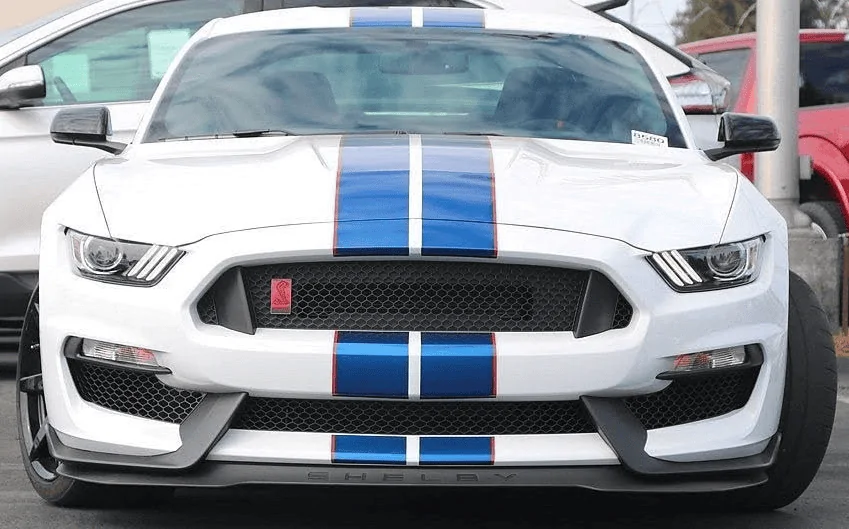Stripes.webp