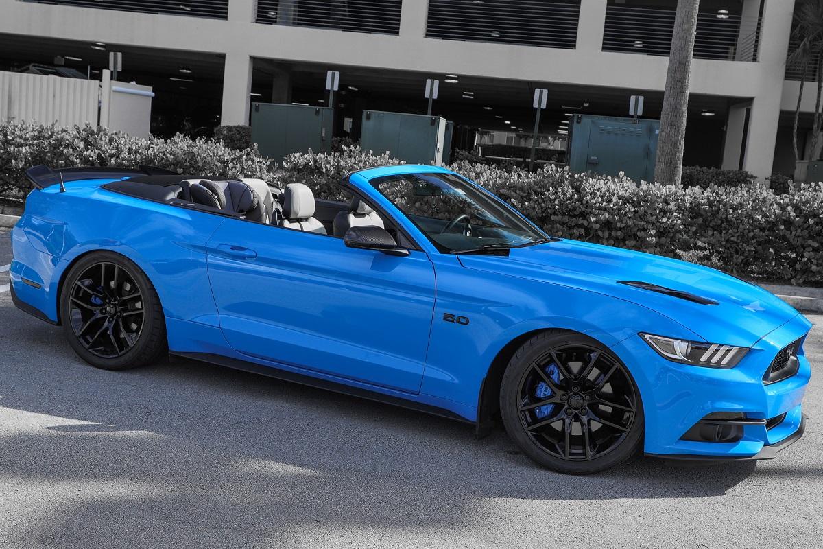 bluetoy.jpg