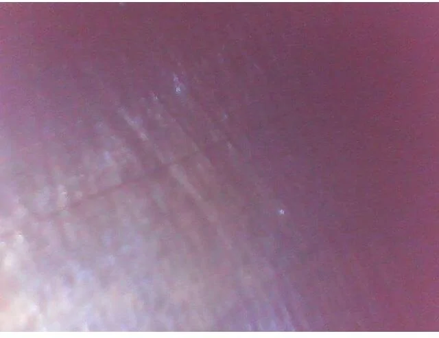 78CBA78B-DF9C-40B5-87E8-66AEFDEA5AA2.webp