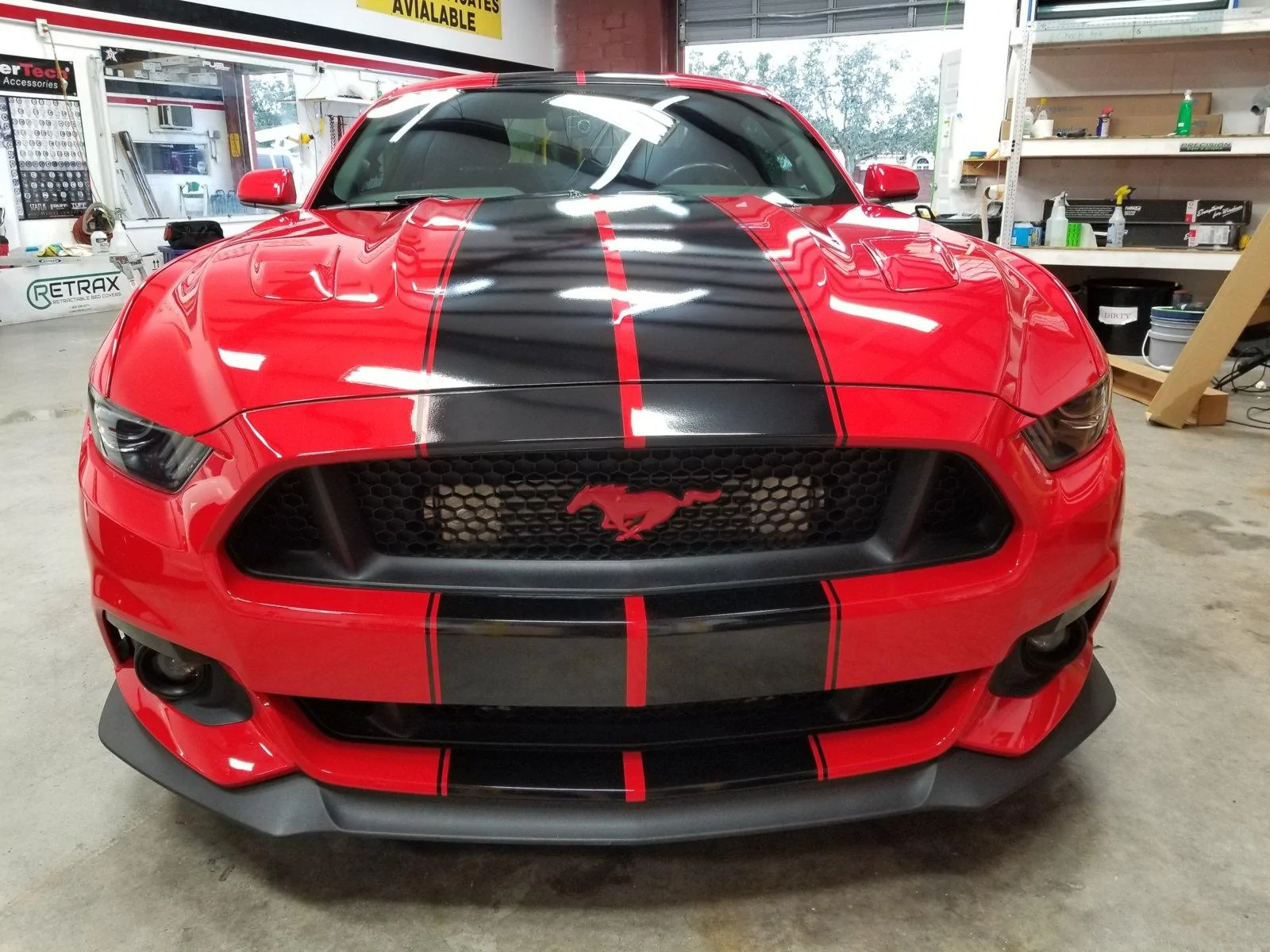 FEF.webp
