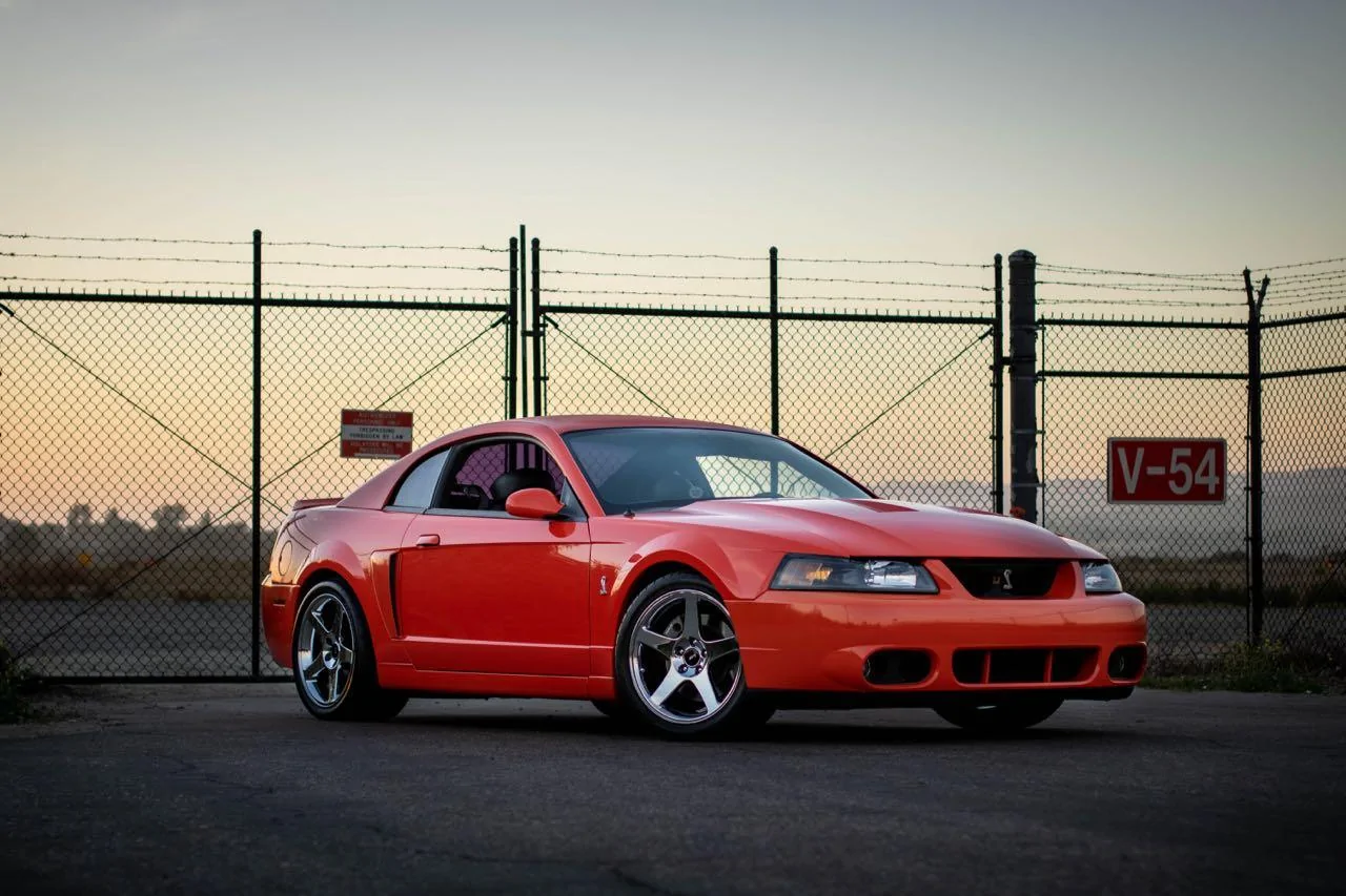 IMG_7907-HDR.webp