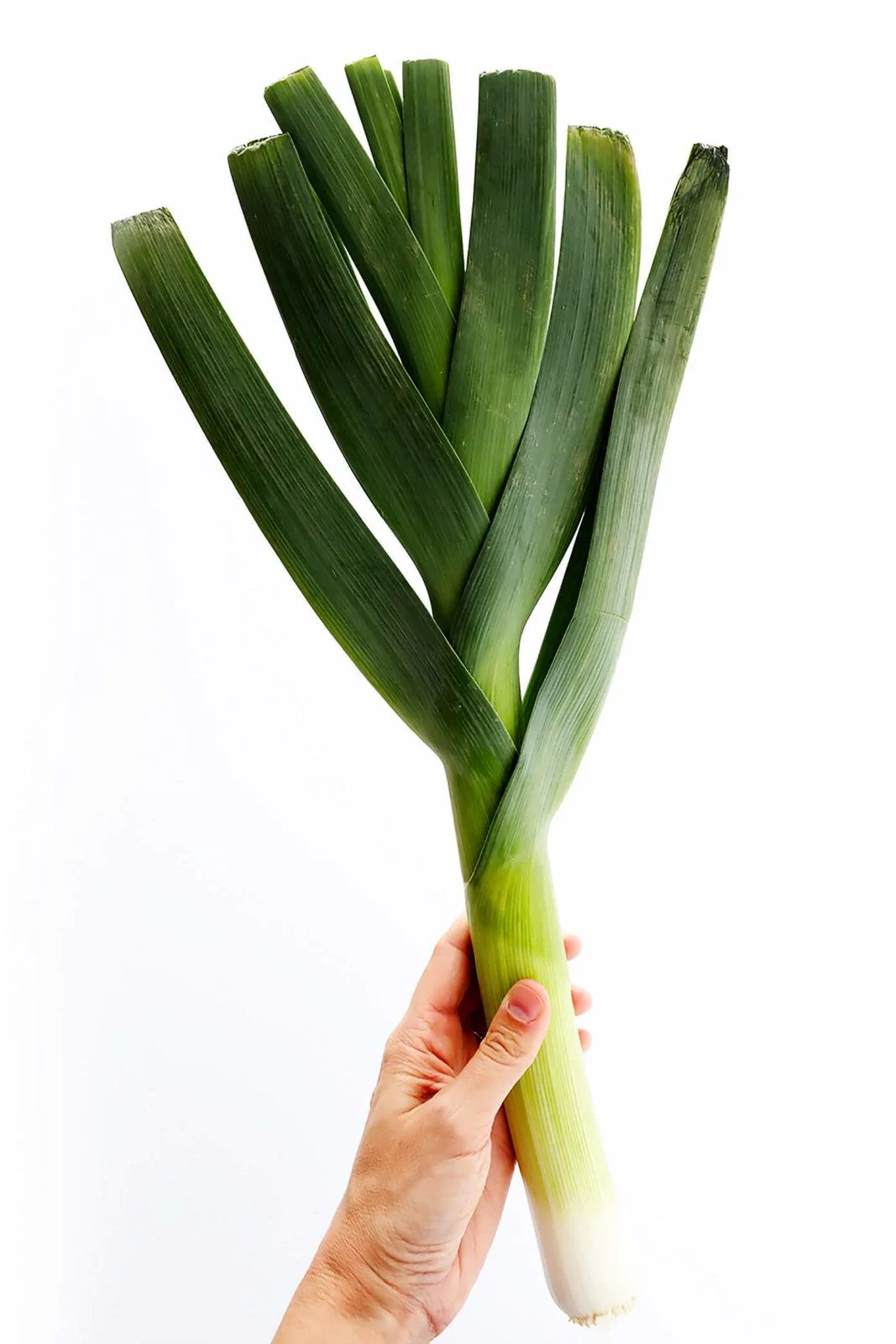 How-To-Cut-Leeks-Tutorial-2.webp