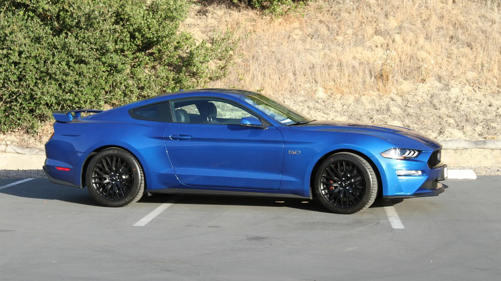 MustangLot01.webp