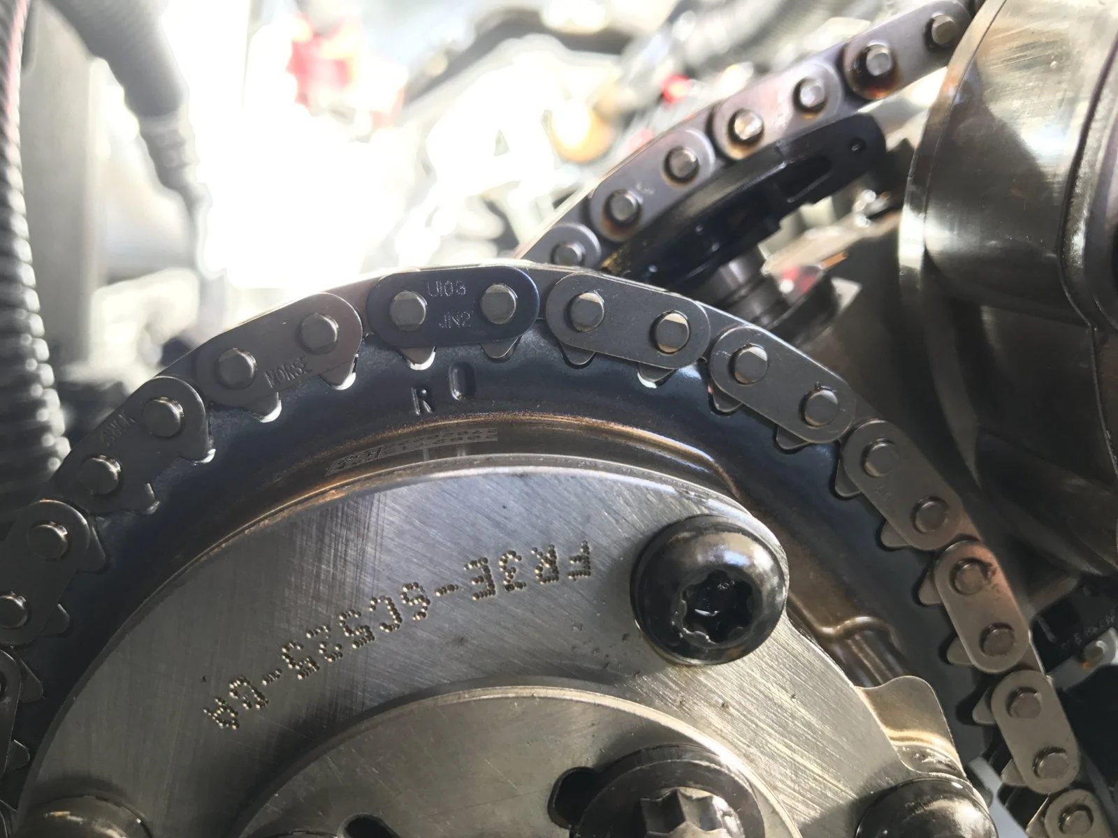 BAAD6BB5-2EF0-4CDF-B396-8048EDB10249.webp