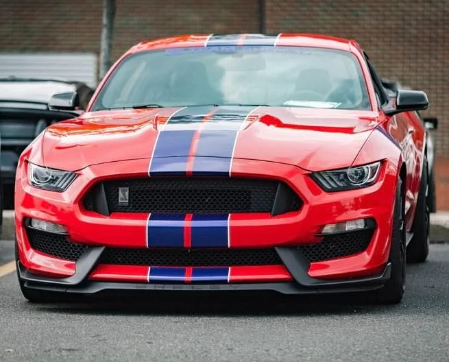 Shelby 2 (2).webp