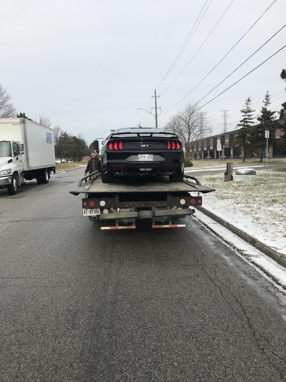 Delivery on Flatbed 2.JPG