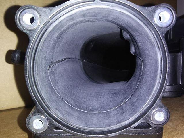 49169622_2221748187847379_1347318768170172416_n_1024x1024.jpg