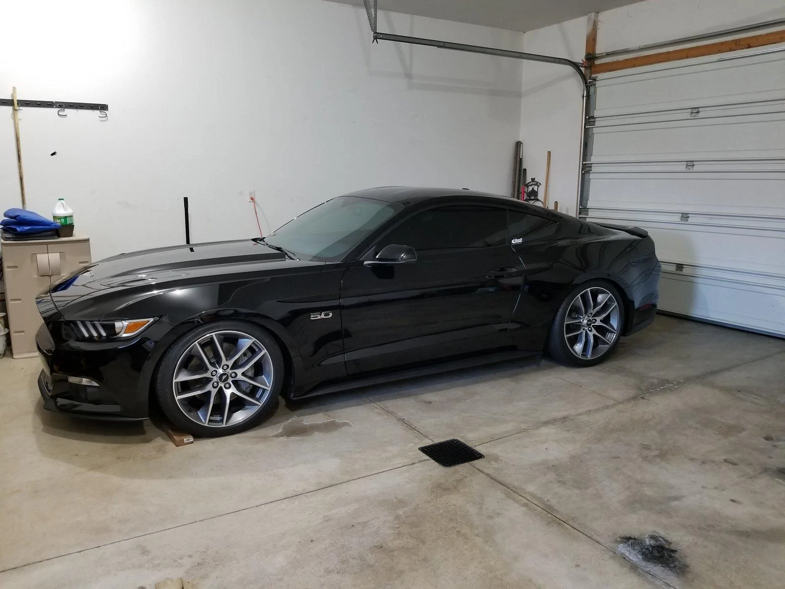 My_2017_Stang.webp