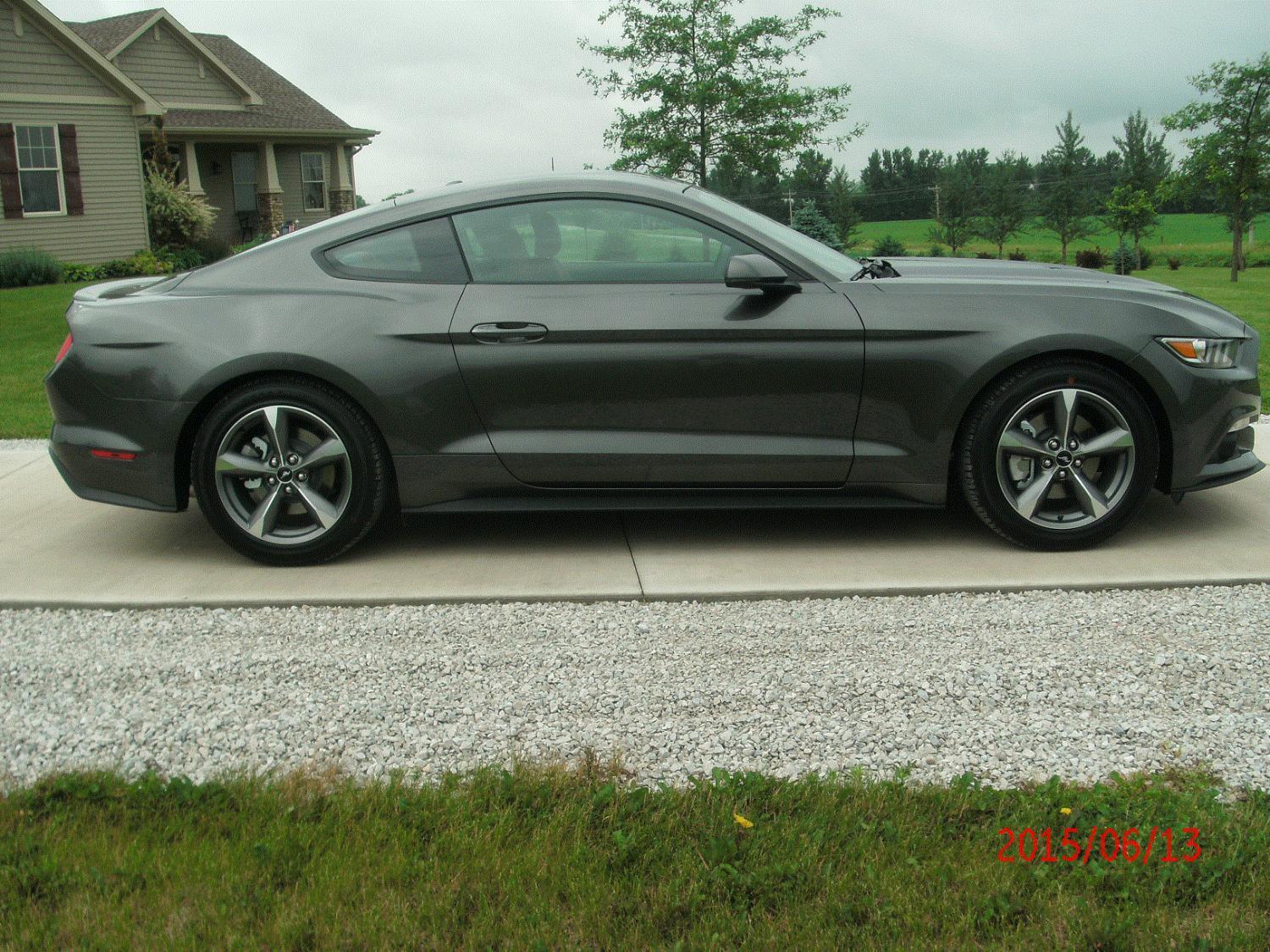 Mustang Right.jpg