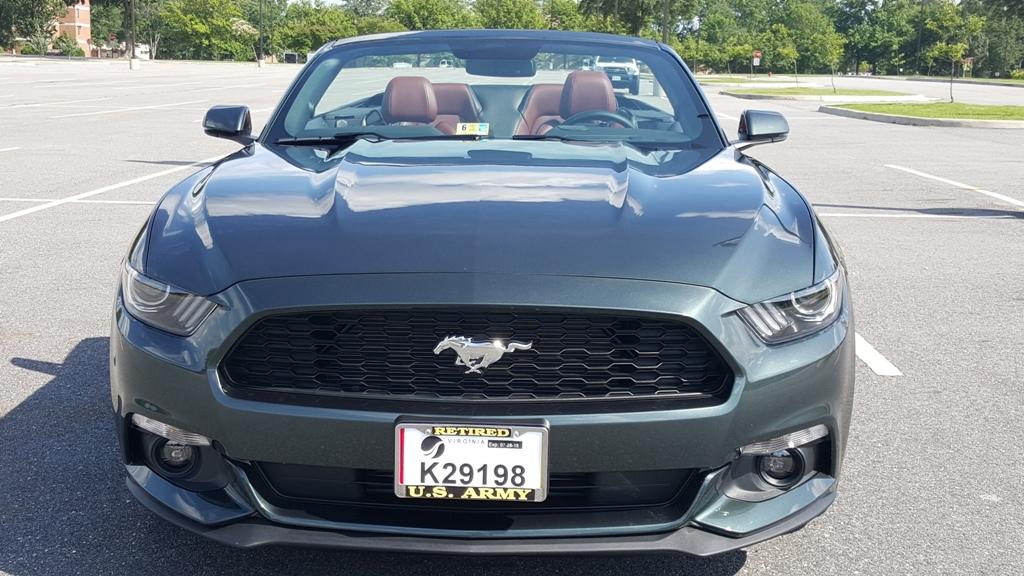 0704_Clean_Mustang_2-thumb.jpg