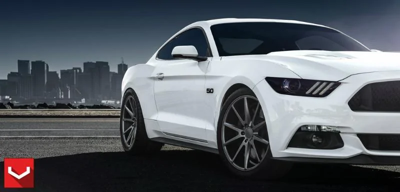 Front Profile.webp