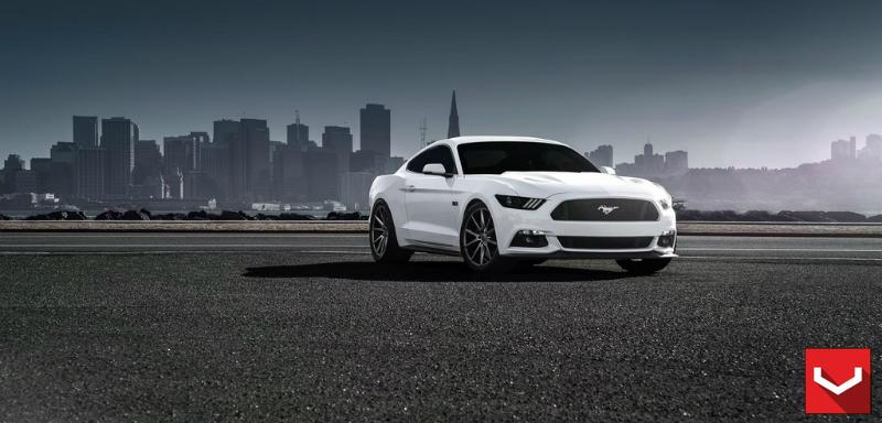 Full Front.jpg