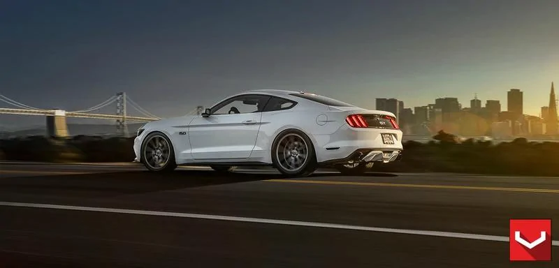 Rolling Shot.webp