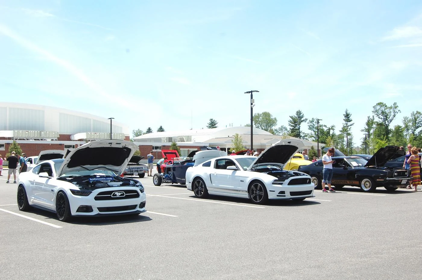 DSC_0313 Resize.webp