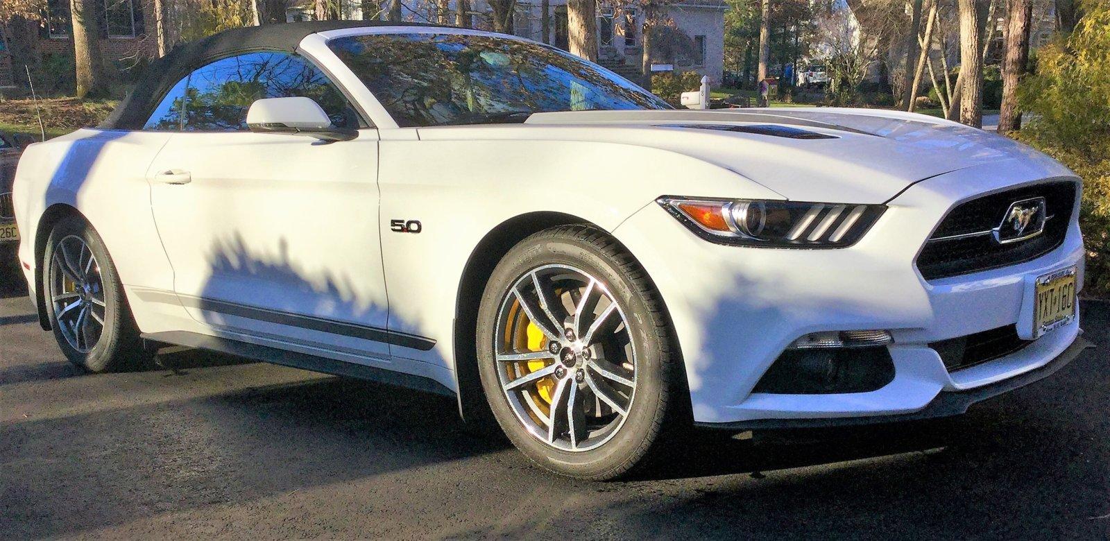 Cropped Painted Calipers (2).jpg