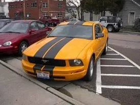 10603625_1013240005362790_8366965332539882332_n.webp