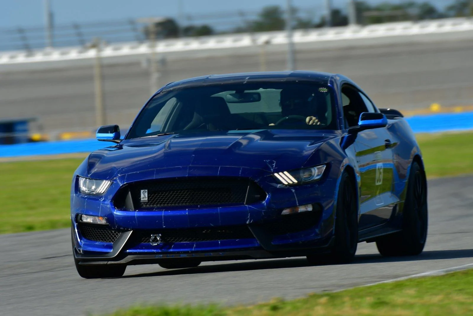 Daytona Resize 2.webp