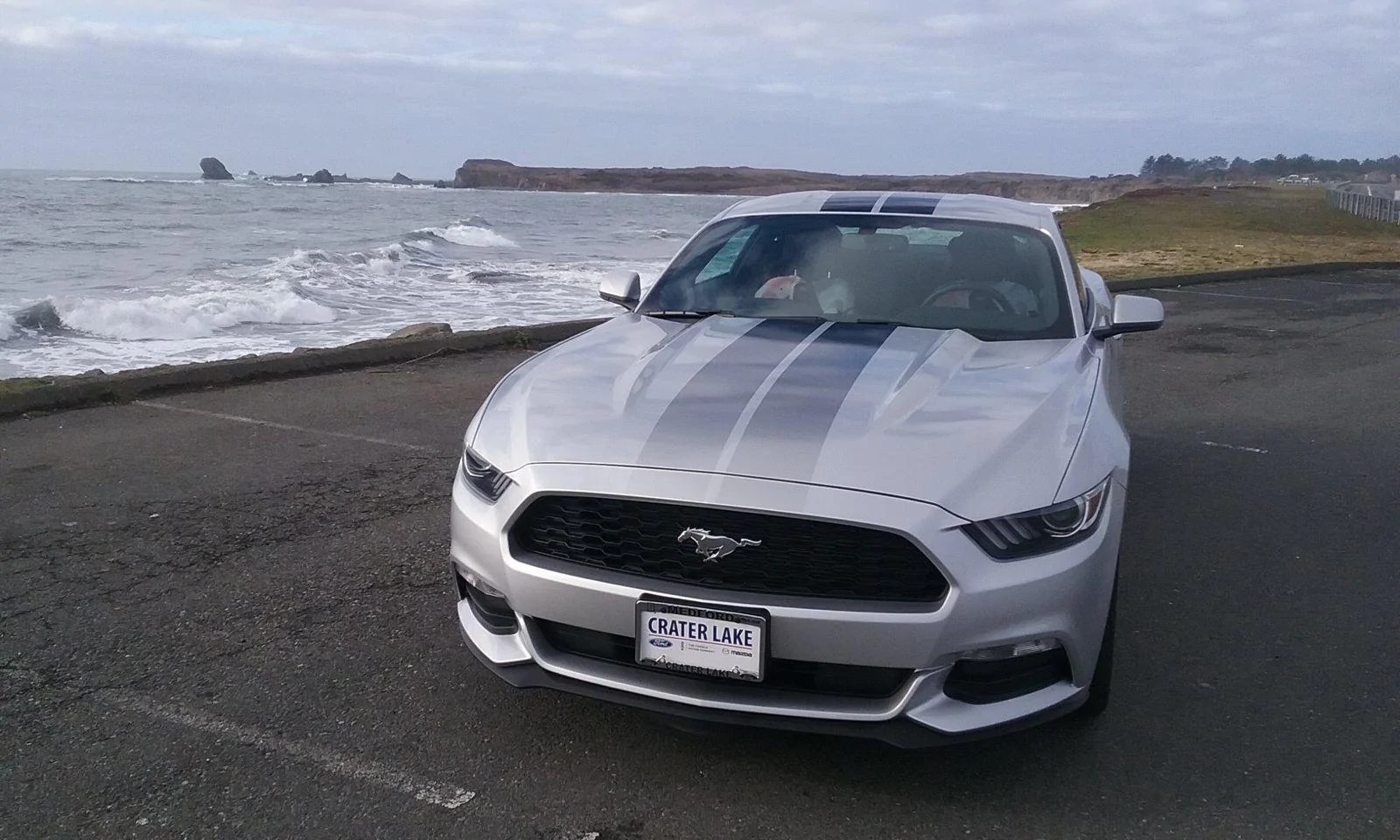 2017 Mustang pic 3.webp