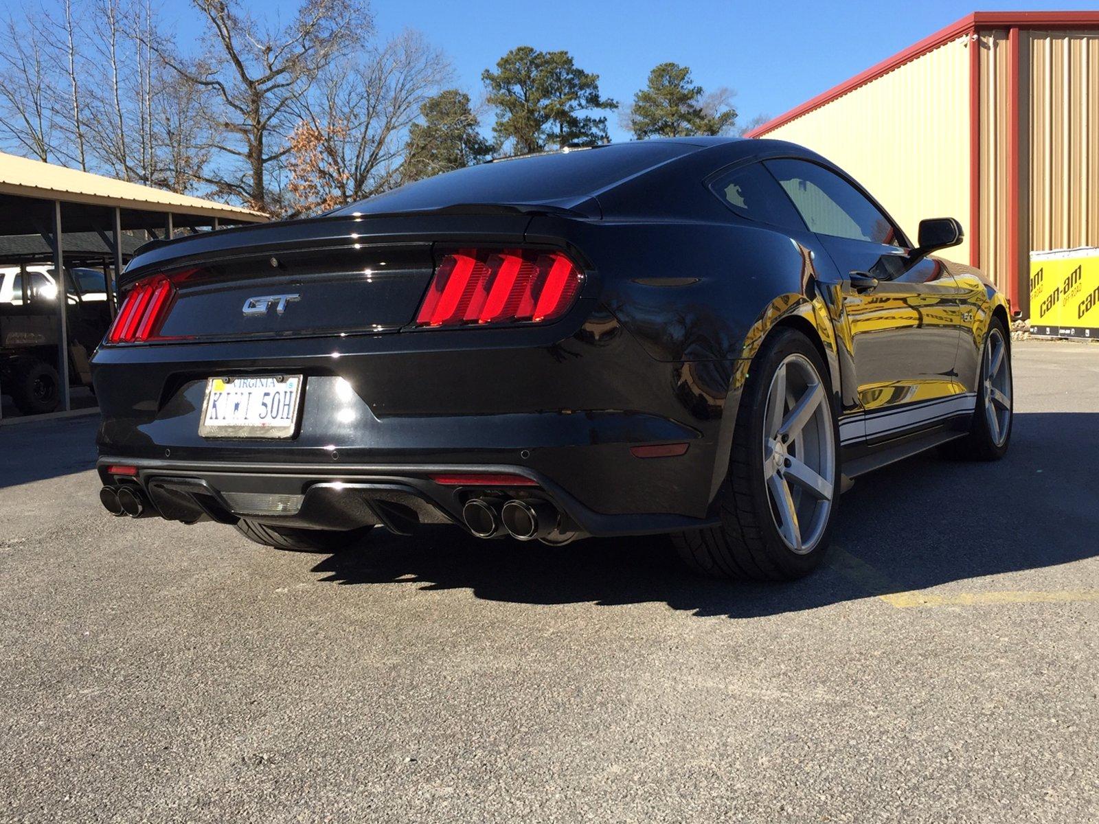 Mustang8.jpg