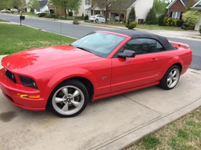 mustang.webp