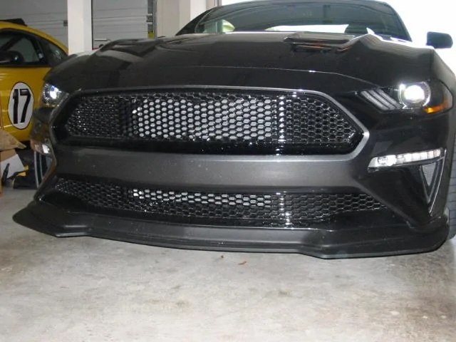 IMG_7745.webp