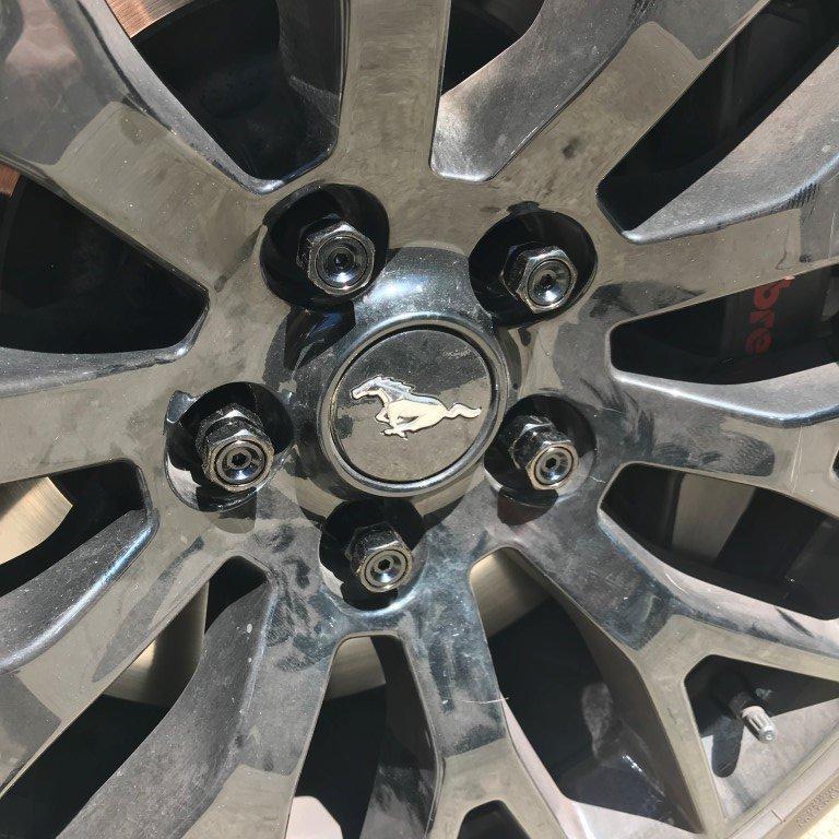 lugs.jpg