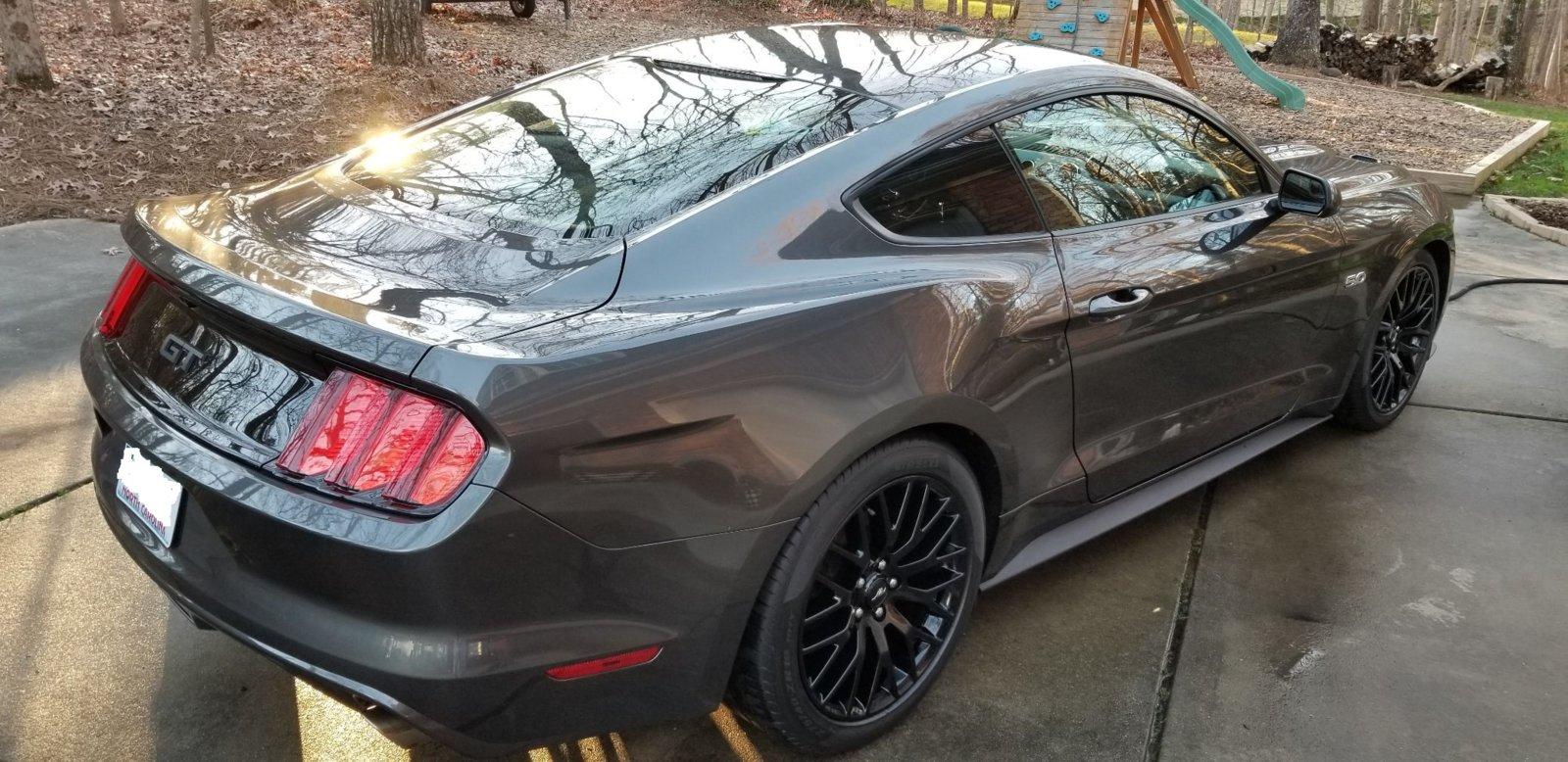 stang1.jpeg
