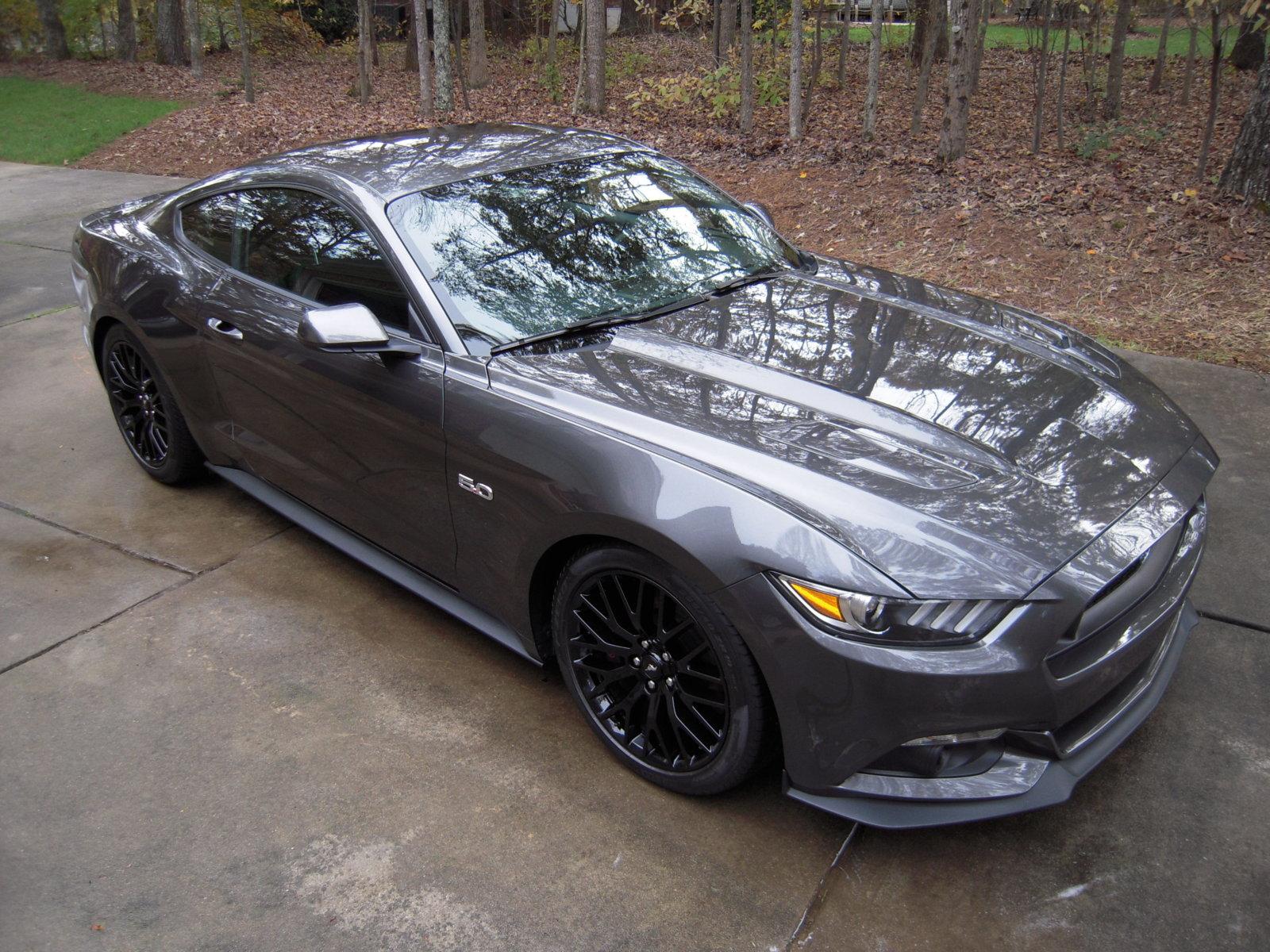 stang10.JPG