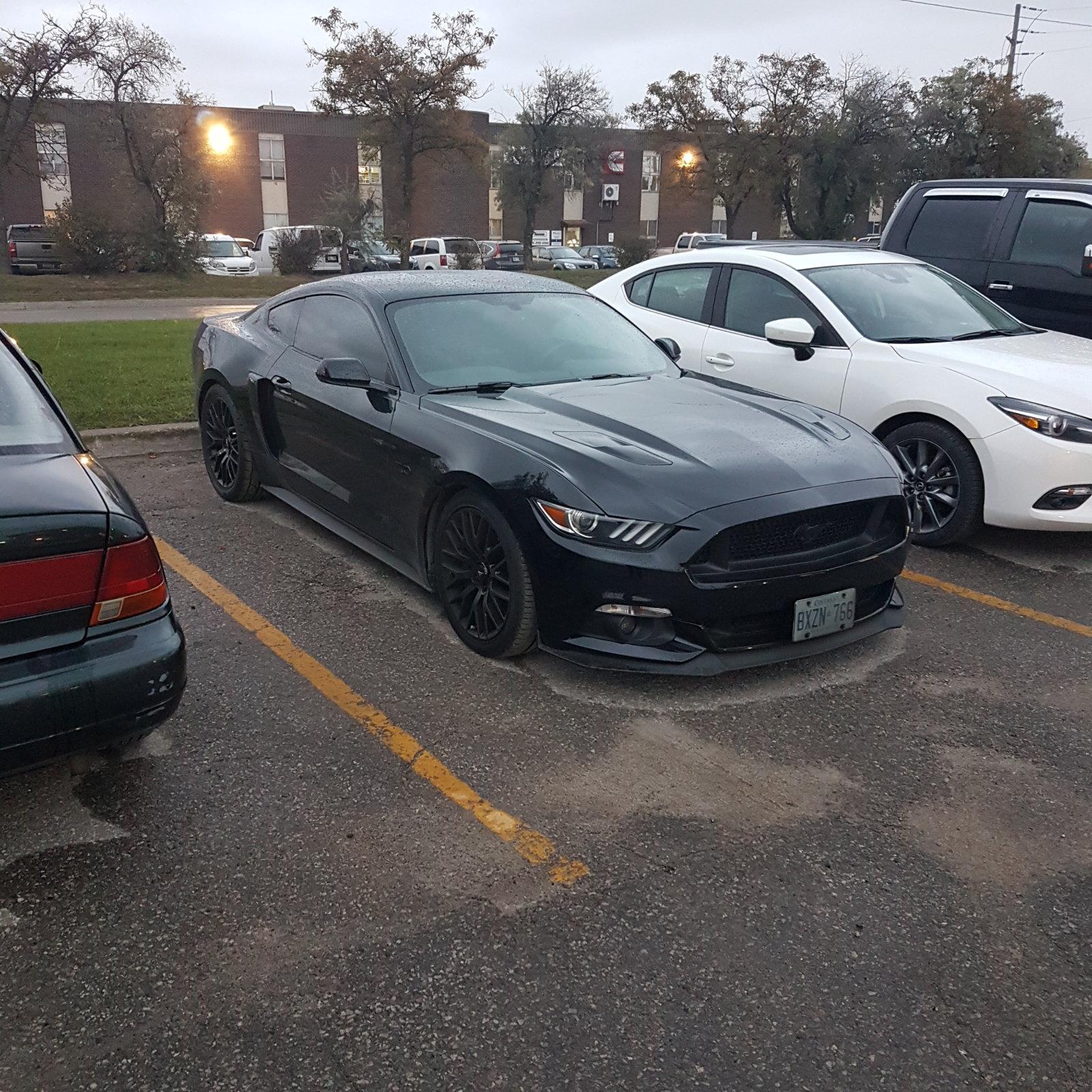 20181015_073333.jpg