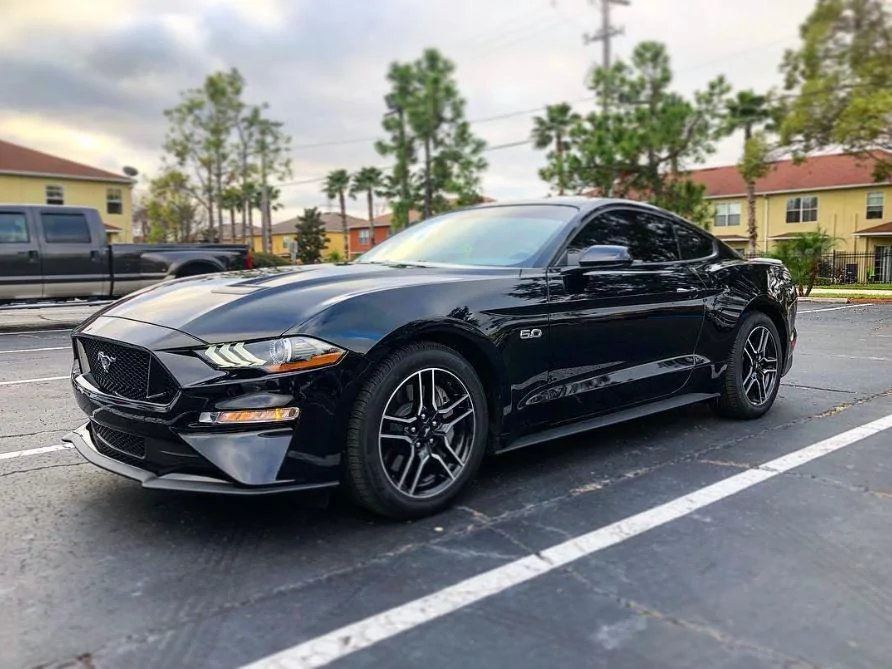 fullstang.webp