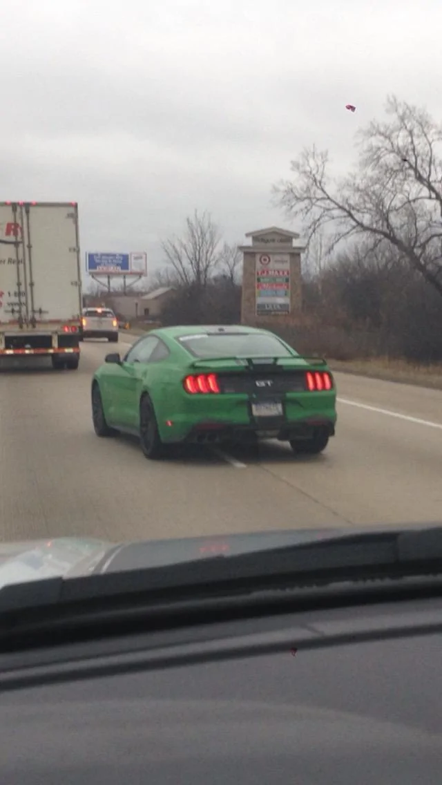 greenmustang.webp