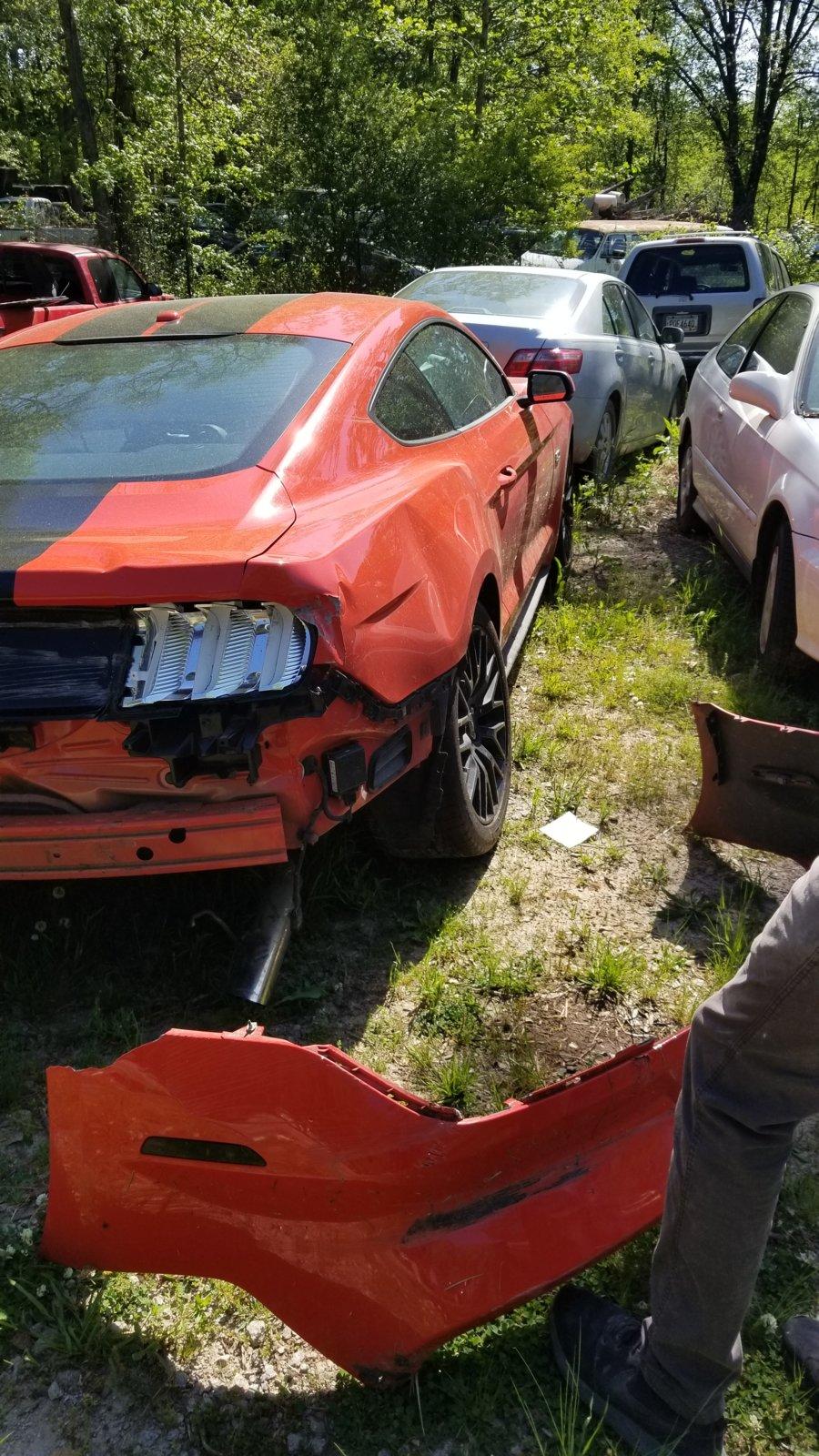 20180501_102953.jpg