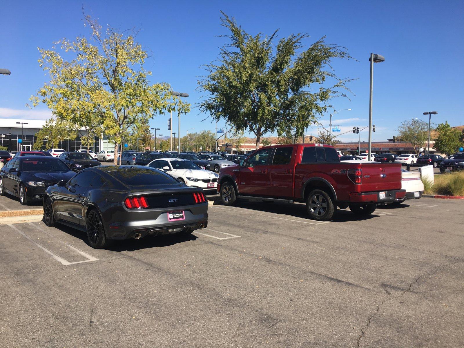 mustang and truck.JPG