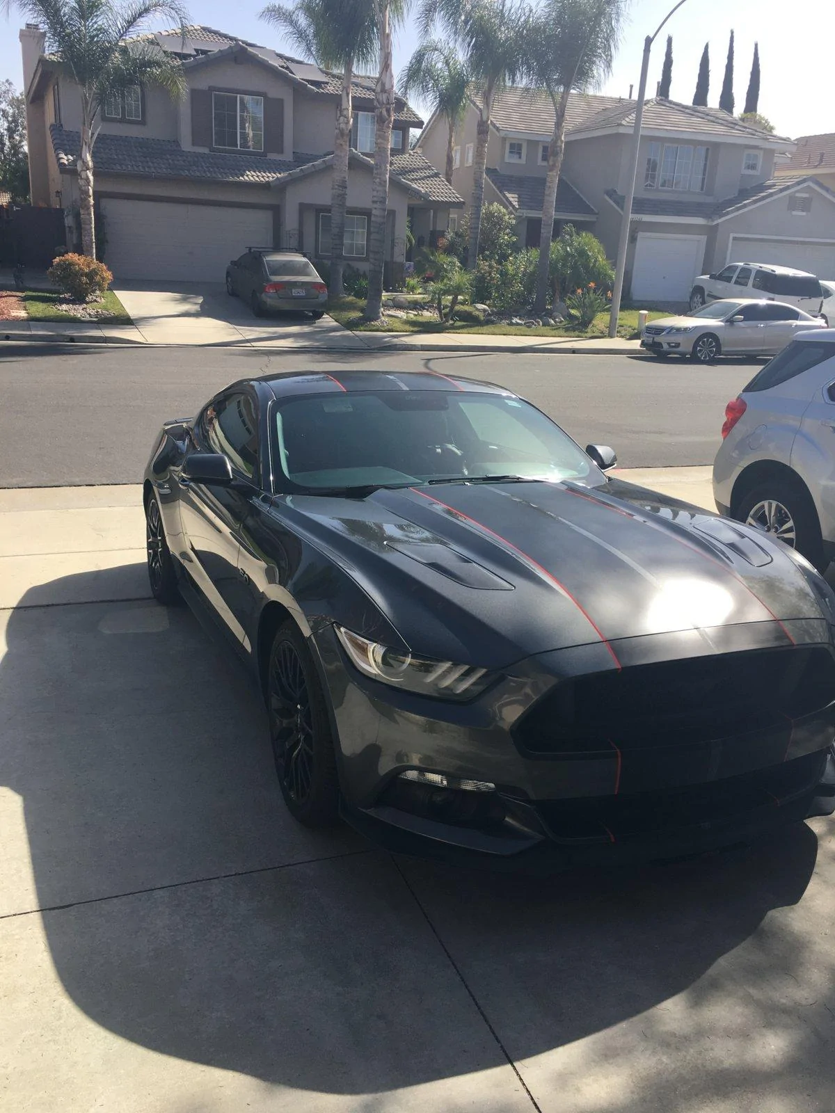 mustang stripes.webp