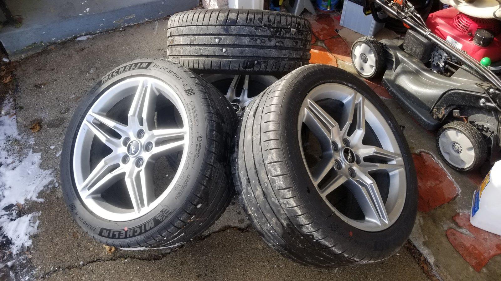 20190126_140355.jpg