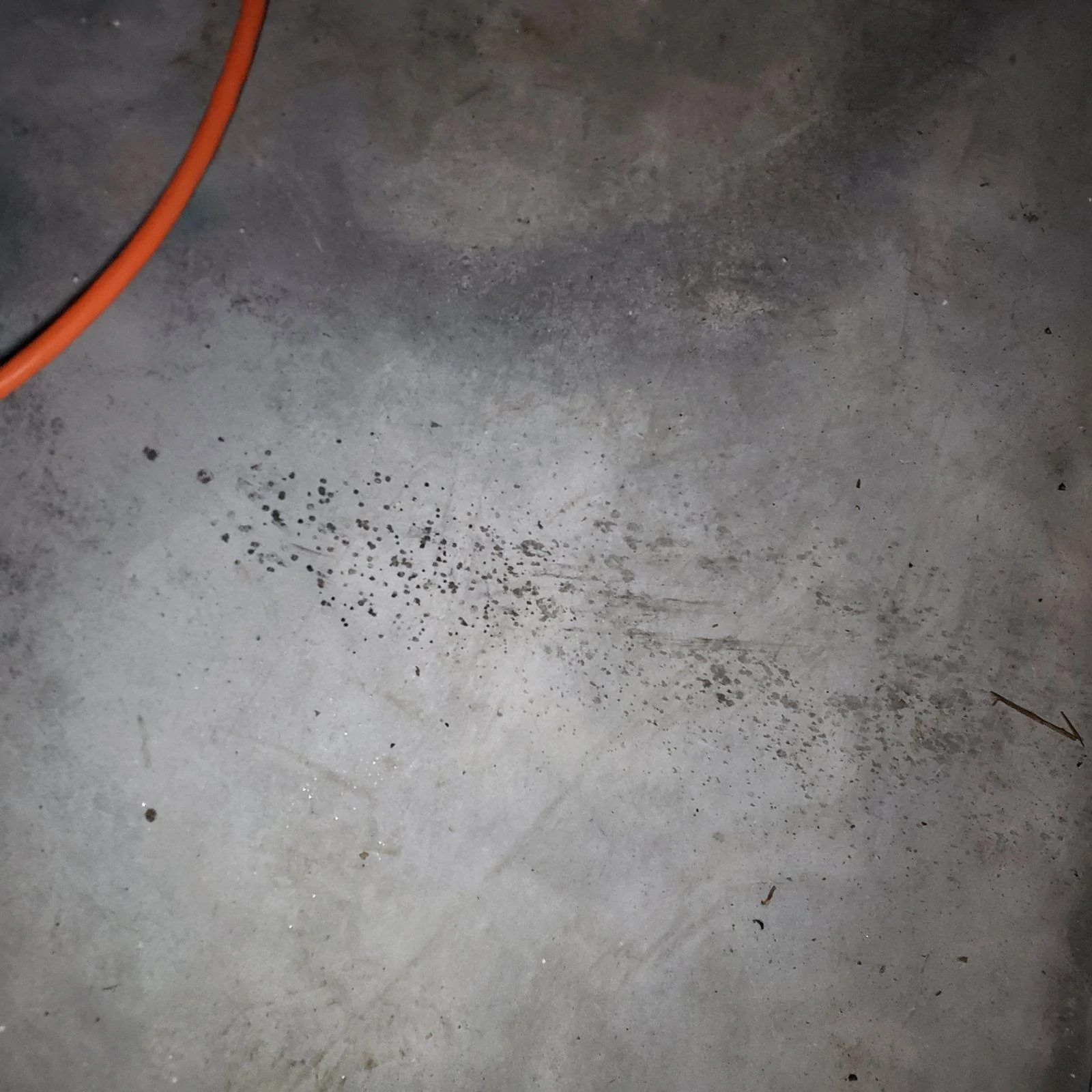20190128_230652[1].webp