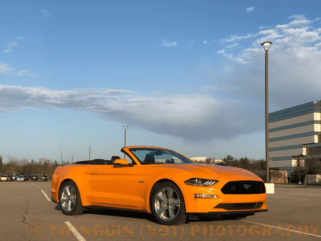 3D2619CF-14C4-4902-B796-9268D04C78CF.webp
