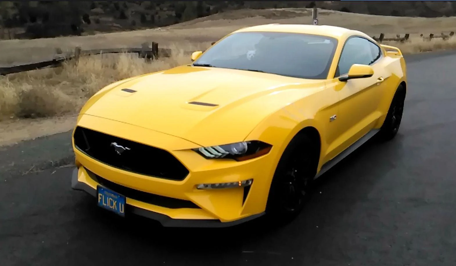 MustangYellowVidFrame.webp