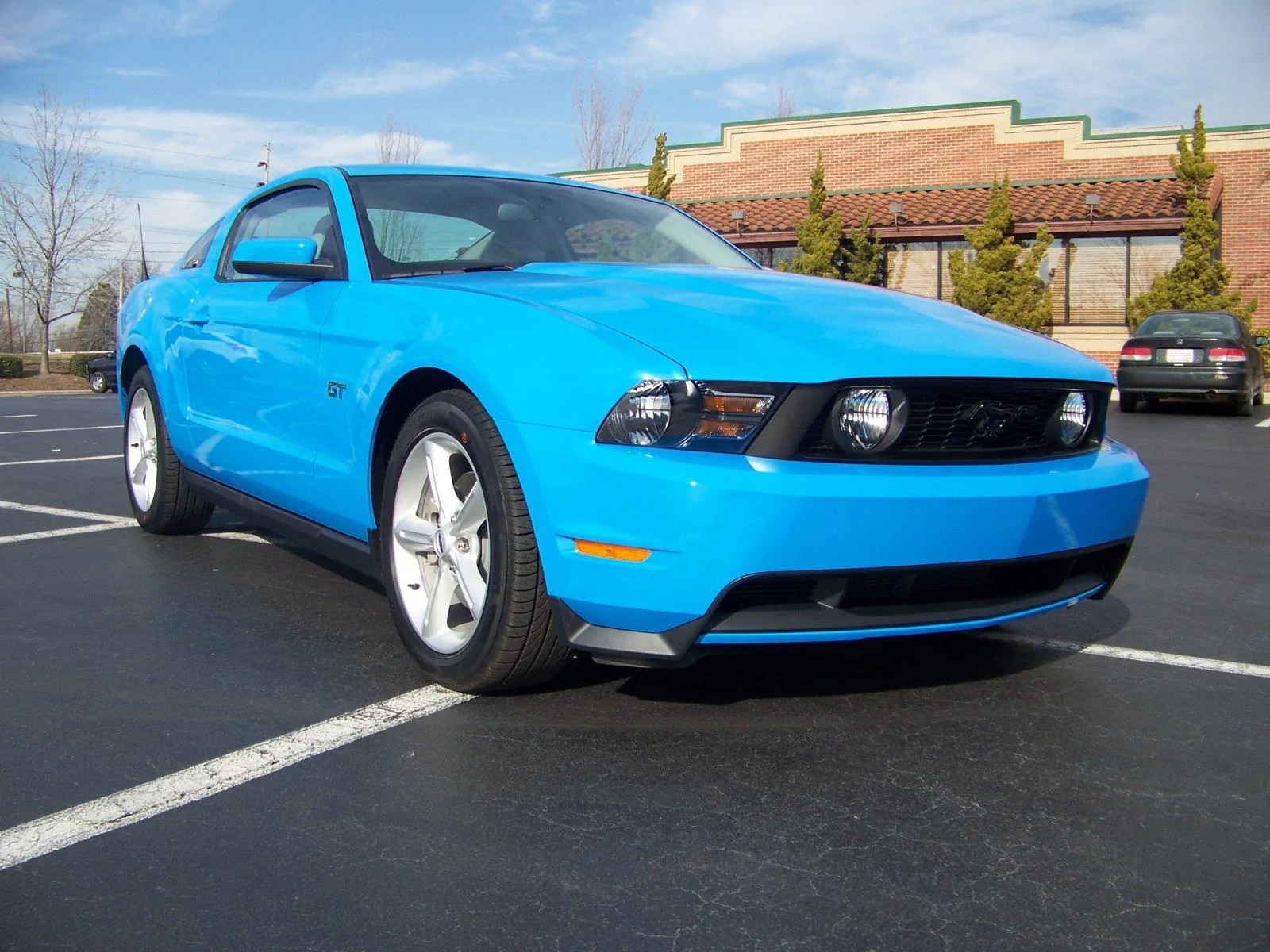 Mustang 008.webp