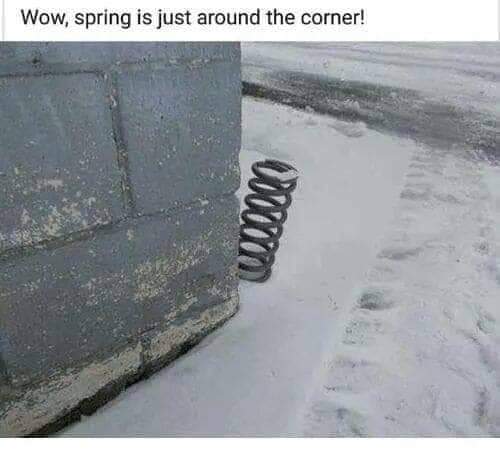 FB_IMG_1549315055350.jpg