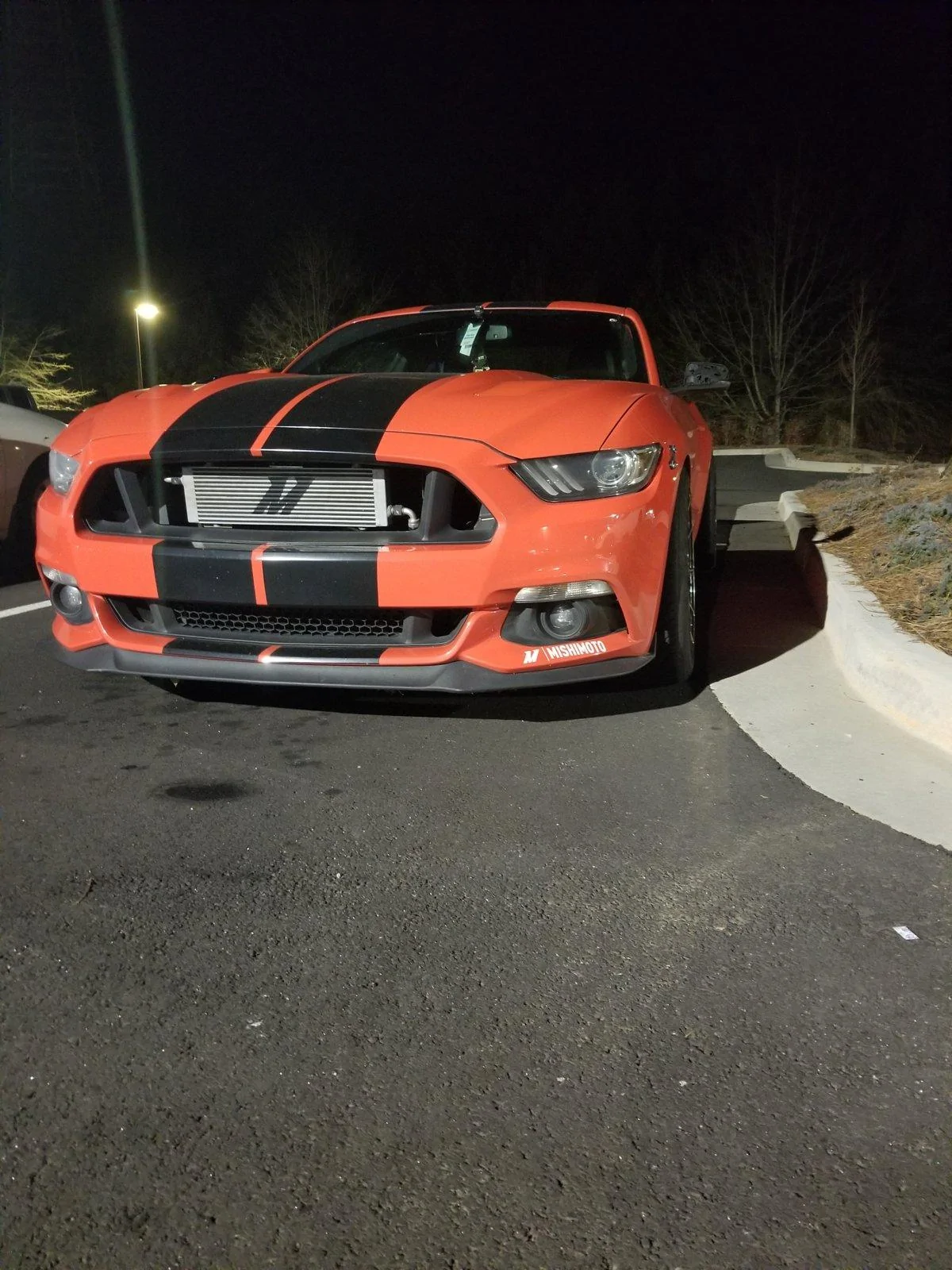 20190204_194952.webp