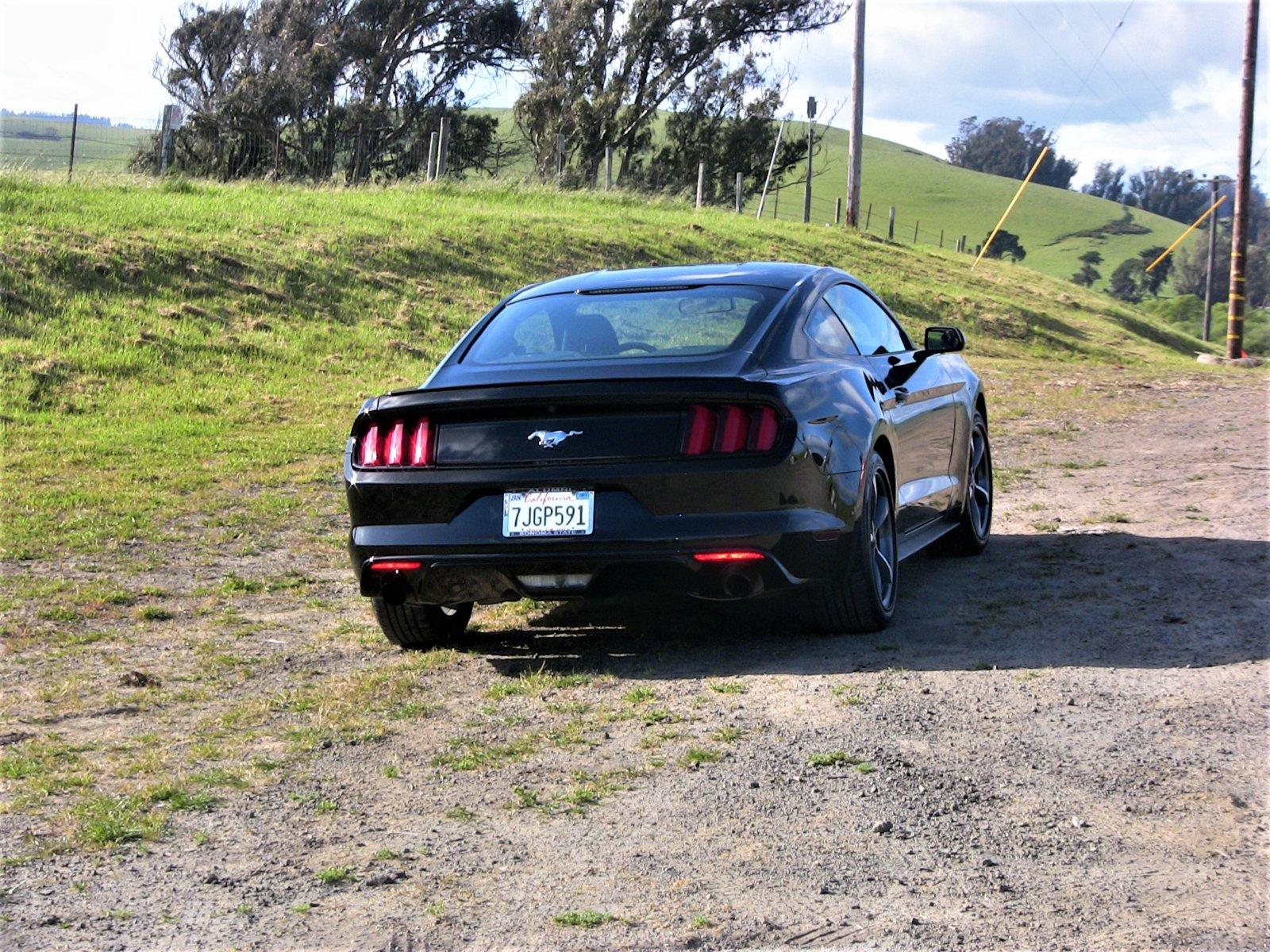 15_mustang.jpg